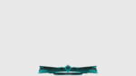 CSGO Twitch Overlay
