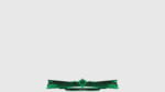 FIFA 21 Overlay