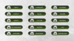 CSGO Twitch Panels