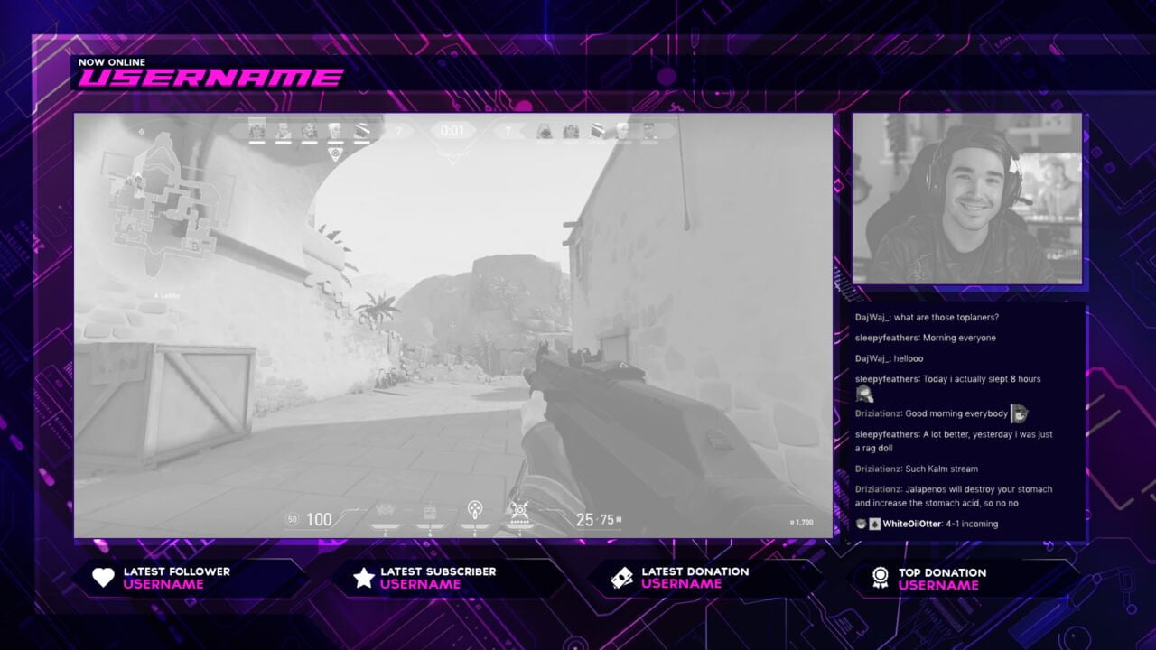 Separated Overlay | Twitch & Kick Streaming Overlays 🎮