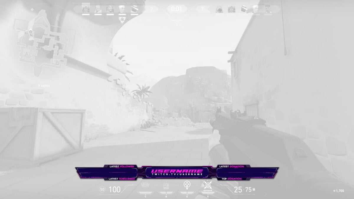 Twitch Overlay PNG File Pink for Valorant Twitch Overlay PNG File Pink for Valorant