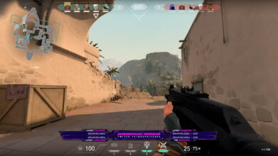 Twitch Overlay Pink for Valorant Download OBS