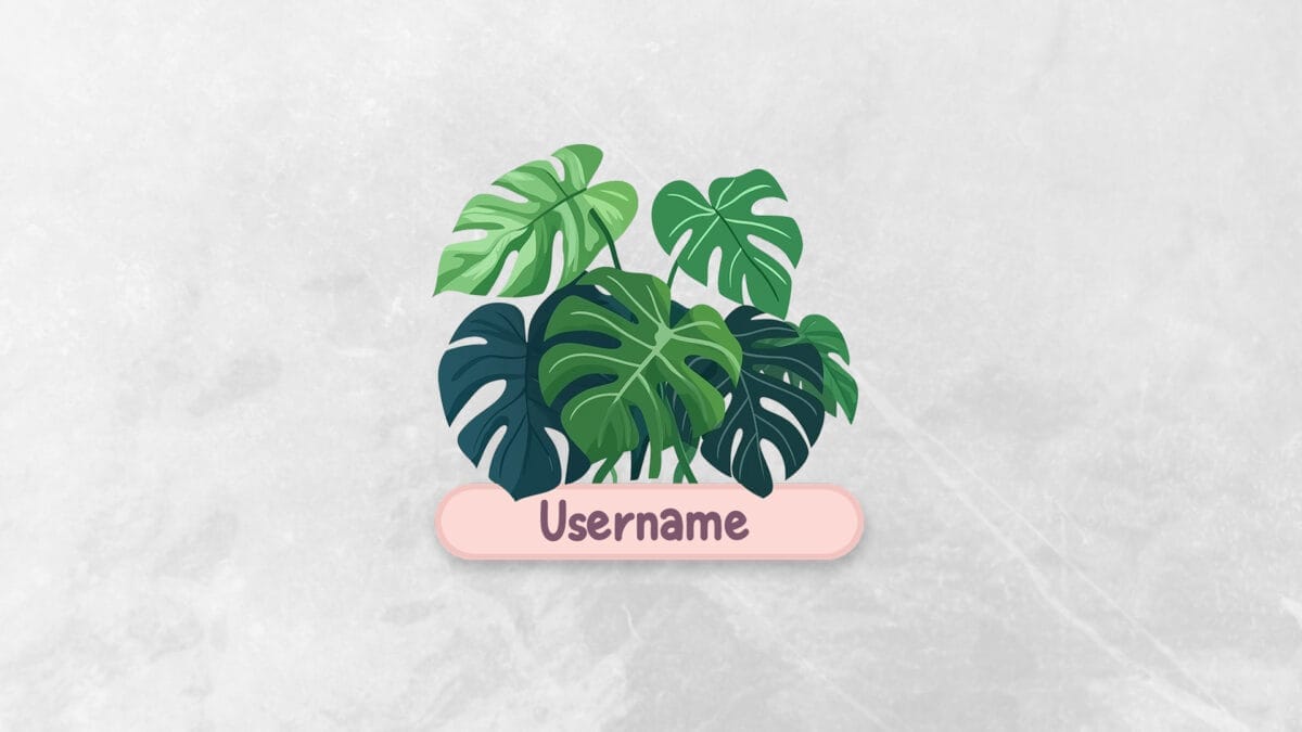 Streaming Logo Streaming Logo