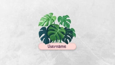 Streaming Logo