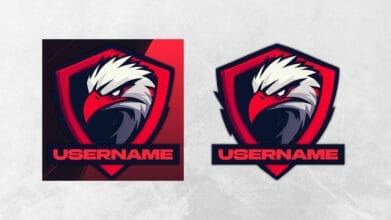 Twitch Logo with username