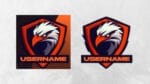 Username Logo for Streamer